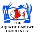 The Aquatic Habitat