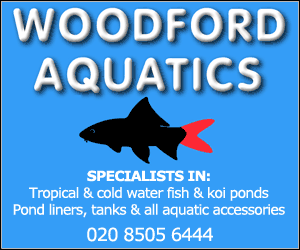 Woodford Aquatics