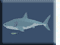 Play Mad Shark