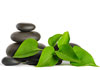 Zen plants and pebbles