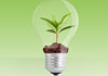 Light bulb with plant inside