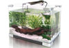 Small fishtank